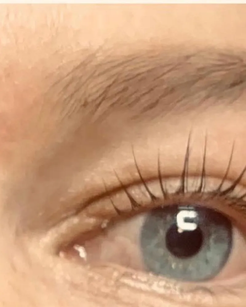 Auge mit gelifteten Wimpern und definierter Augenbraue nach der Behandlung